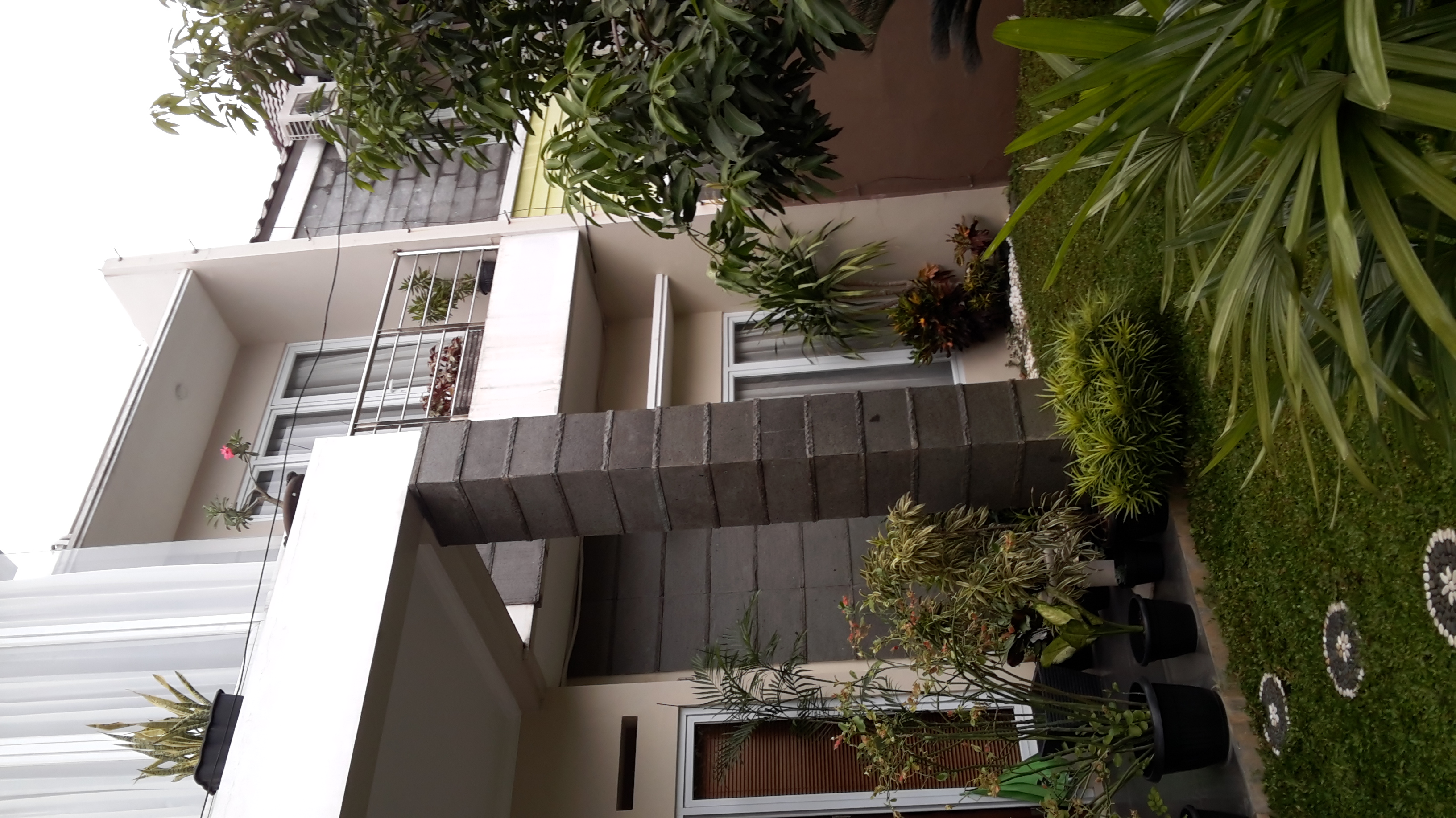 https://www.rumahhuni.com/wp-content/uploads/2019/11/20171201_060546.jpg